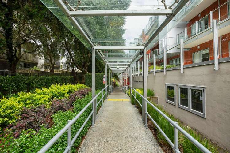 225/4 Wagener Place Mount Albert_16