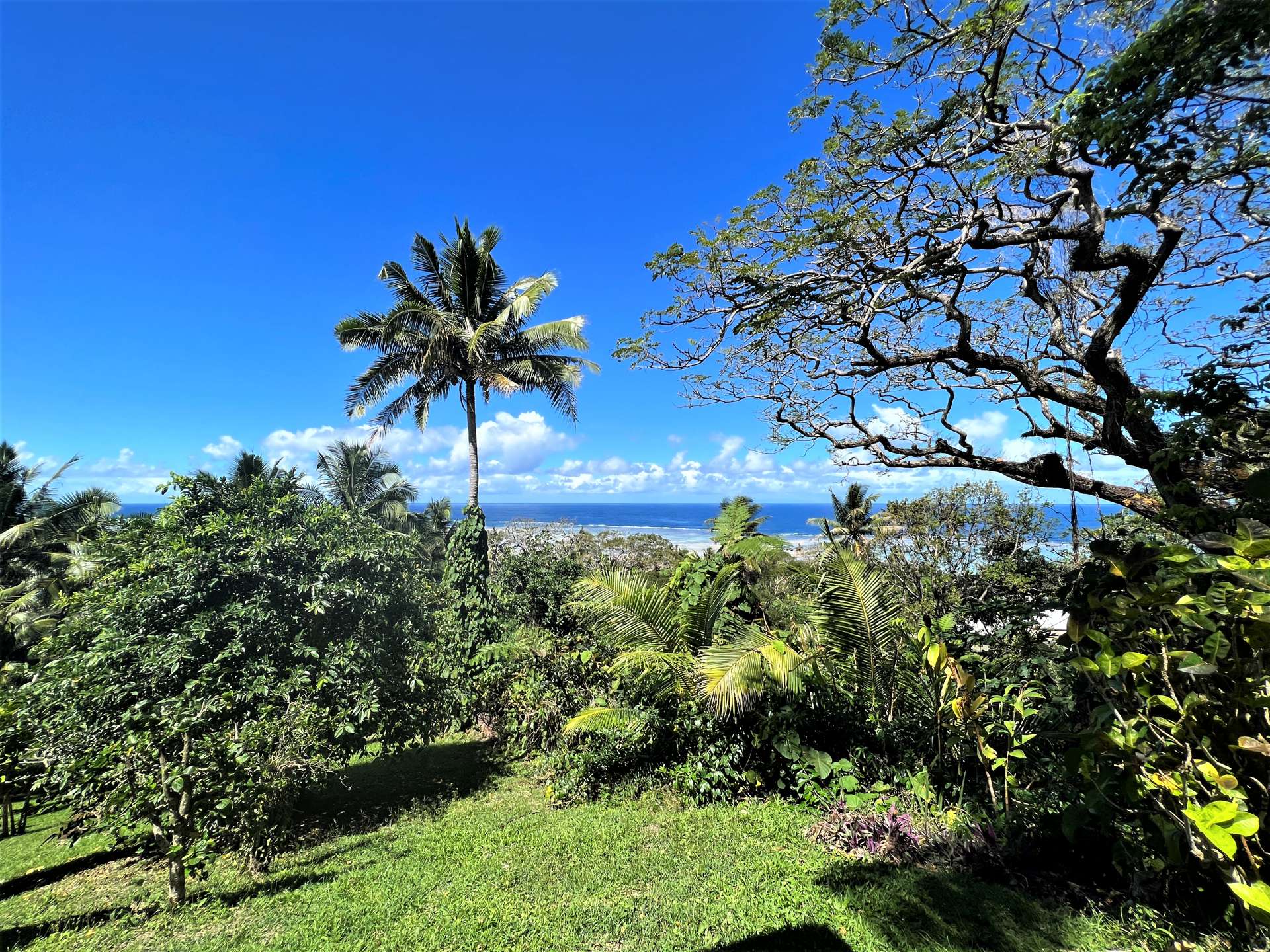 Lot 9 Raintree Estate, Oneva, Savusavu Vanua Levu_0