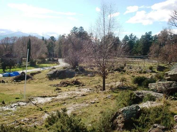 376a Earnscleugh Road Alexandra_5