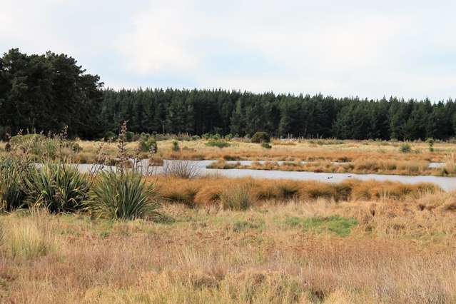 62 Te Kohanga Drive Pegasus_3