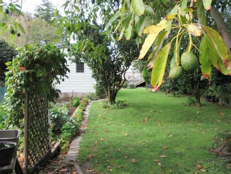 16 Marian Drive Inner Kaiti_15