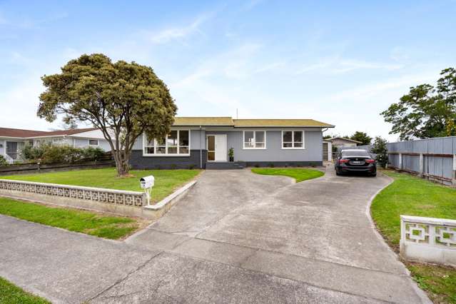 18 Galway Street Tamatea_3