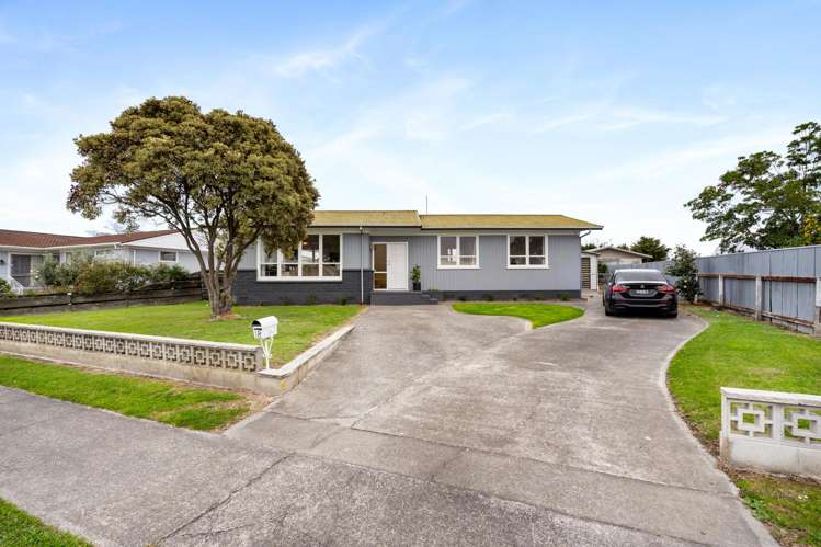 18 Galway Street Tamatea_3