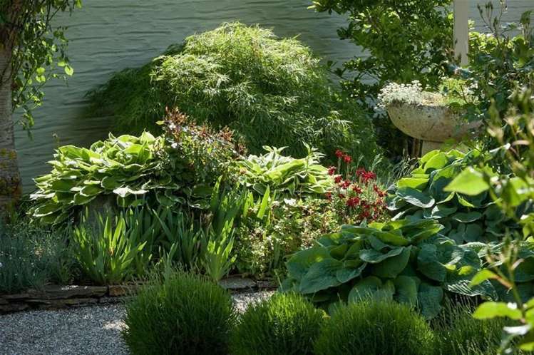 24 Bell Avenue Cromwell_30