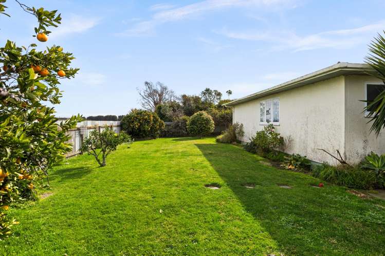 103a Masefield Avenue Maraenui_11