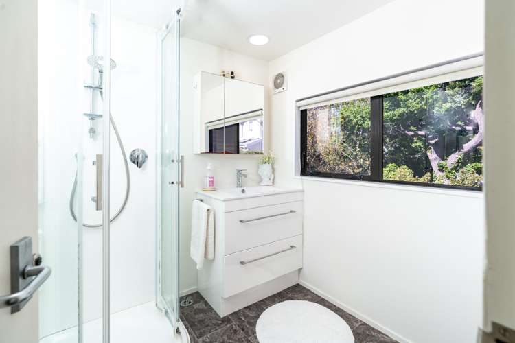 1/80 Hobson Street Thorndon_16