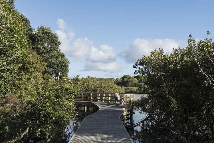 1r Bullock Track Grey Lynn_8