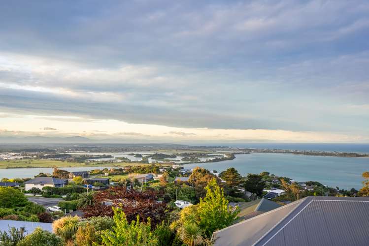 133 Major Hornbrook Road Mount Pleasant_24