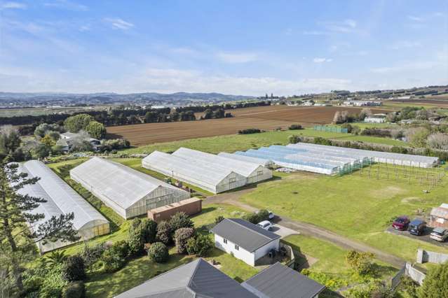 52 Douglas Road Pukekohe_2