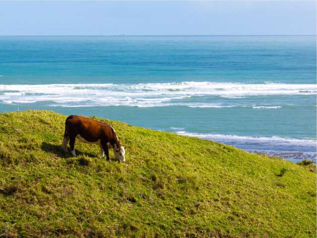 88 Lake Road Kawhia_2