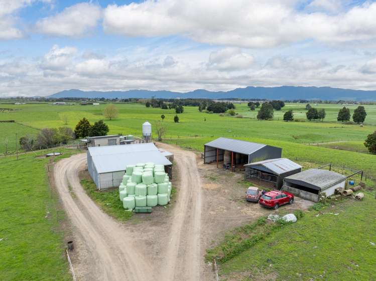 222 Gunn Road Matamata_19