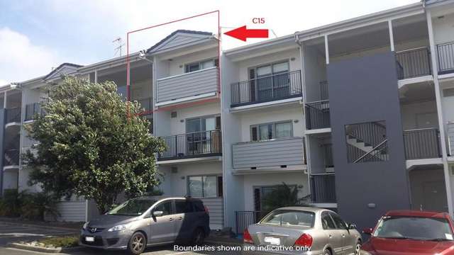 C15/60 Masons Road Oteha_1