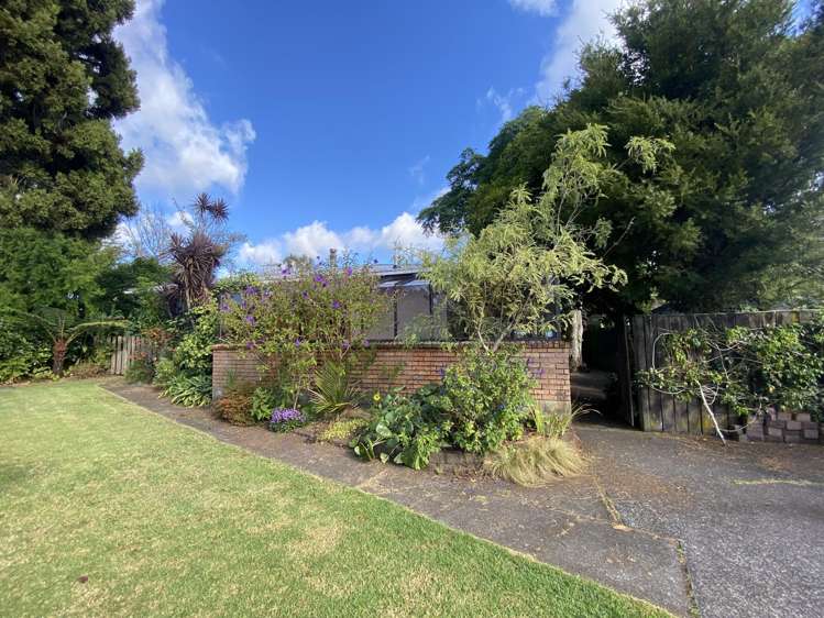 53 Chilcott Road Henderson_18