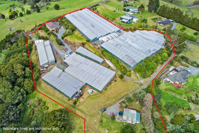 491 Apotu Road Kauri_2