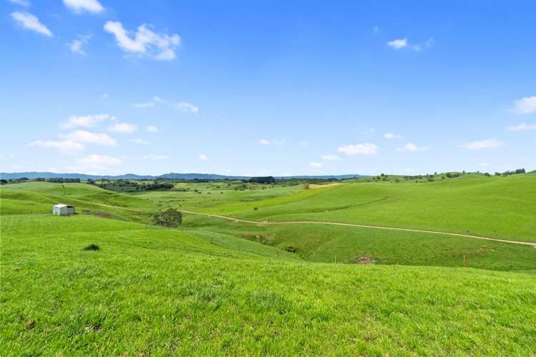 258 Paratu West Road Richmond Downs_41