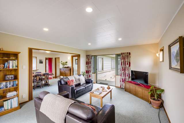 15 Southwark Avenue Tamatea_4