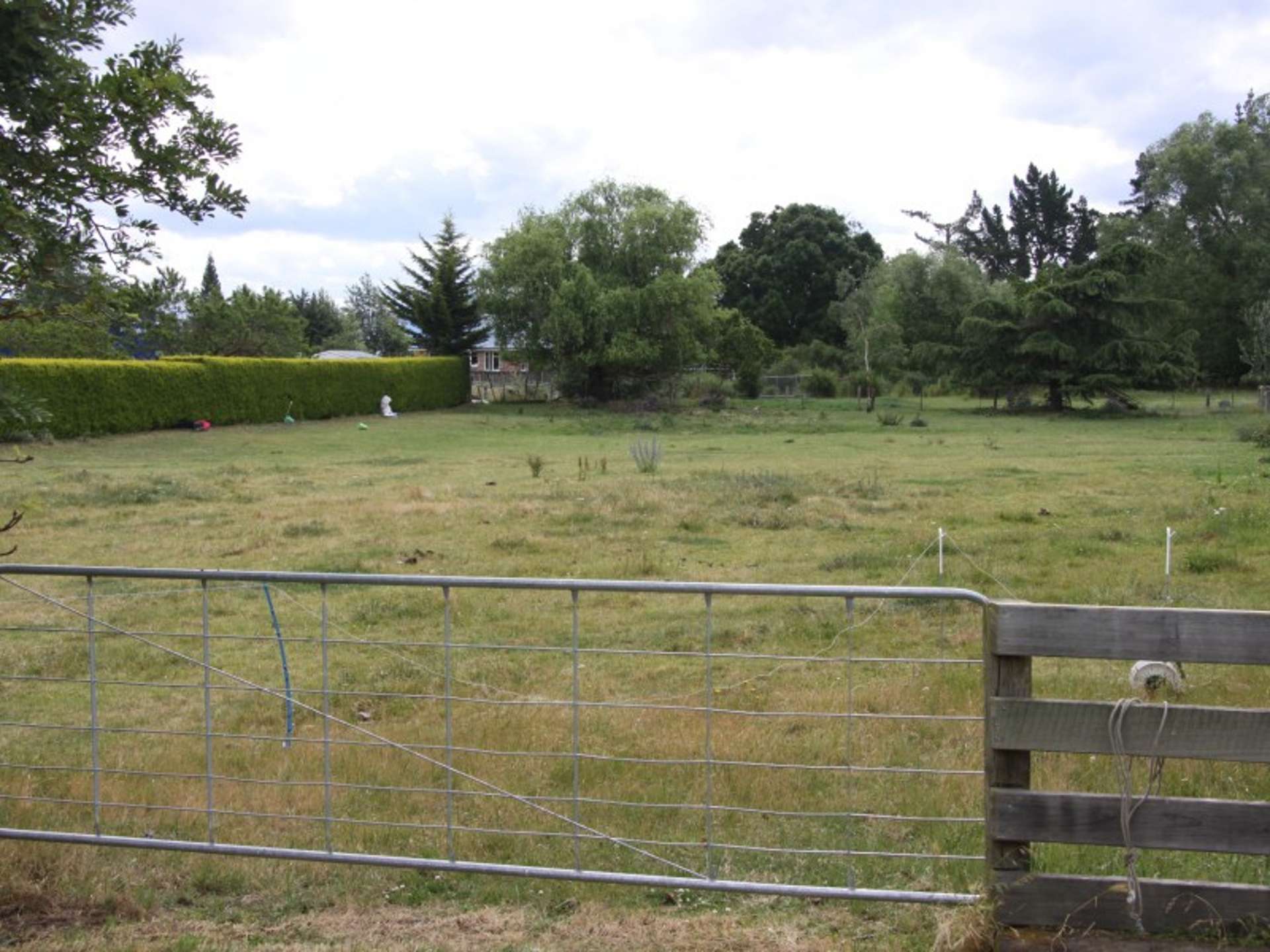 33 Montrose Avenue Culverden_0