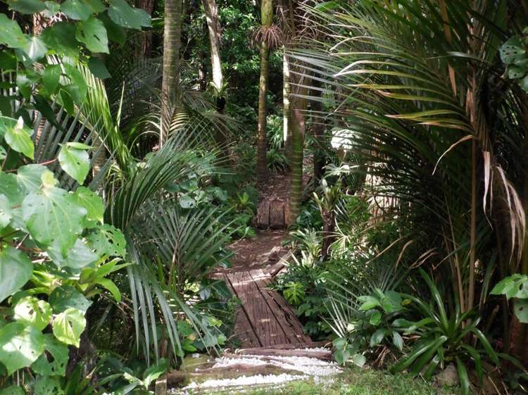 17 Rayner Road Piha_17