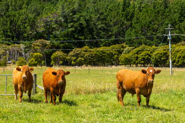 Clova Bay Road Manaroa_4