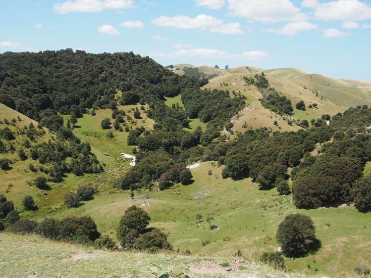 746 Te Awa Road Central Hawkes Bay Coastal_6