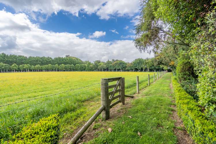 286 Bay Road West Plains_46