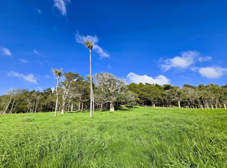 Lot Lot 3 Sills Road Dargaville_8