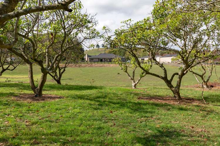 136 Wily Road Puni_21