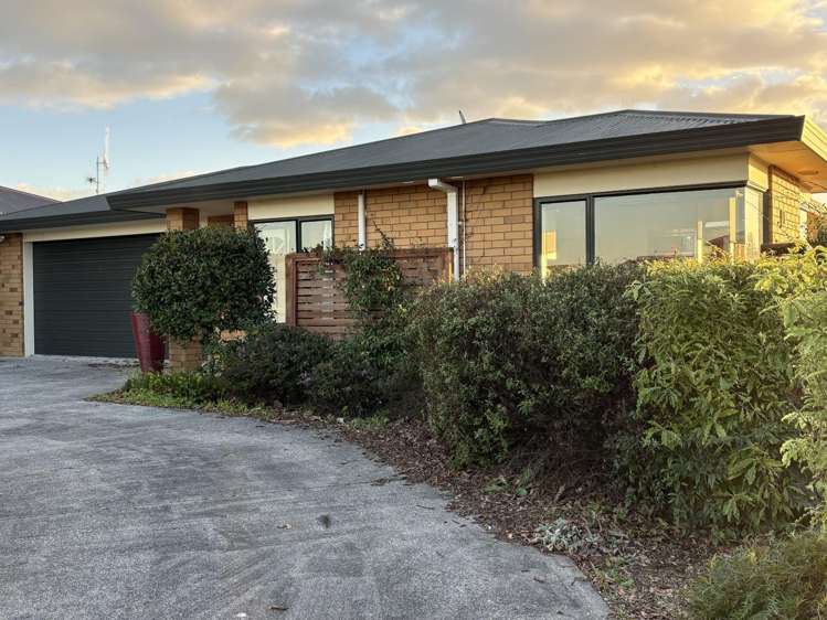 167 Bond Road Te Awamutu_2