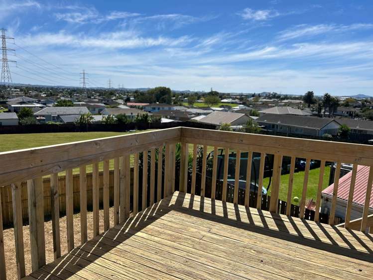 Matthews Road Flat Bush_6