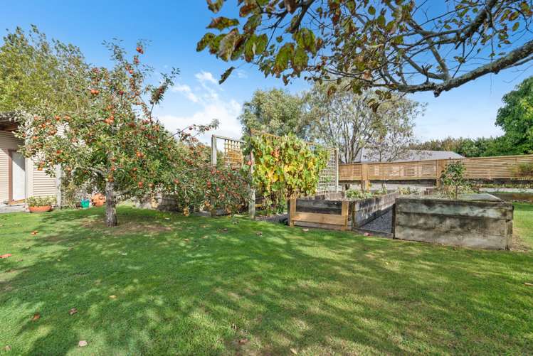 84 Jellicoe Street Greytown_22