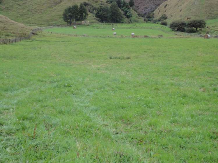 190 Harris Road Woodville_7