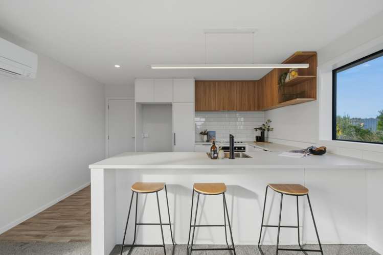 31 Severn Street Clifton_6