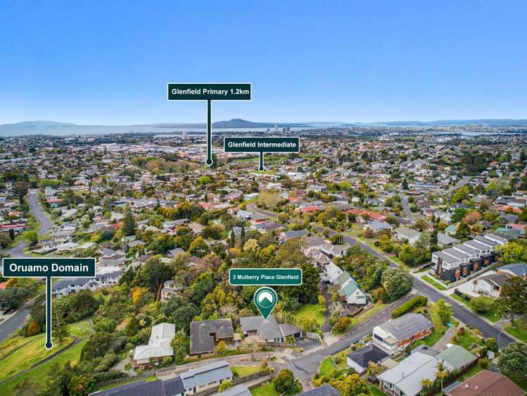 3 Mulberry Place Glenfield_24