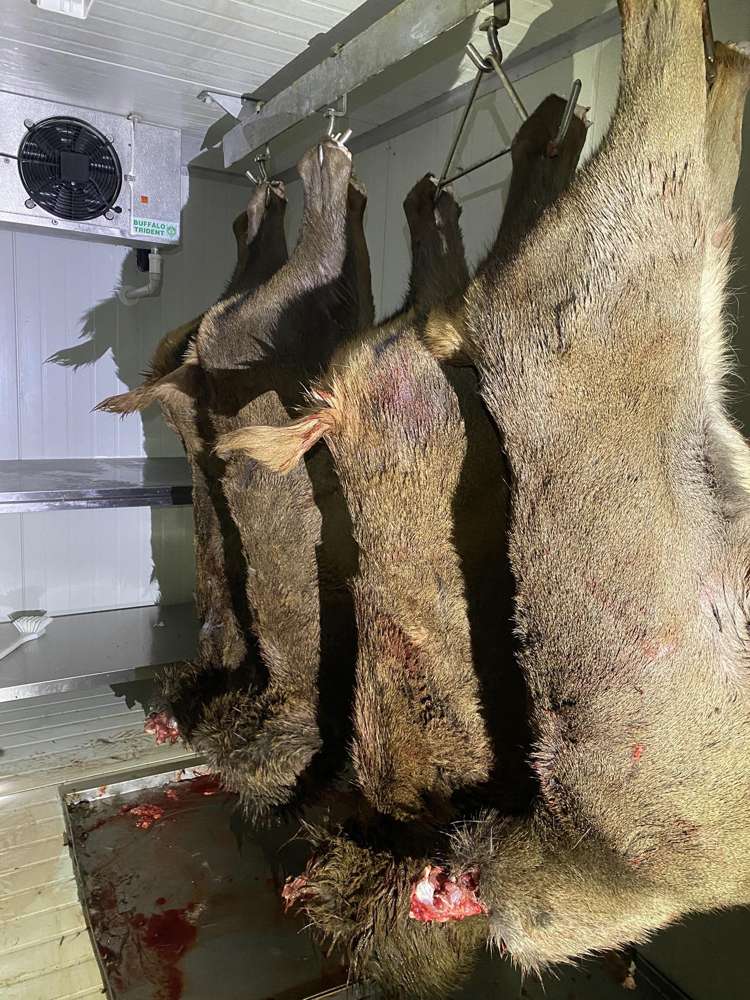 1 Takapari Road Pohangina_33