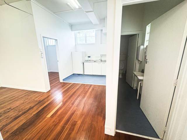 309 Dominion Road Mount Eden_3