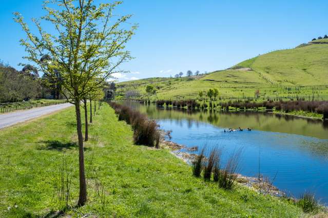 438 Puketapu Road Puketapu_1