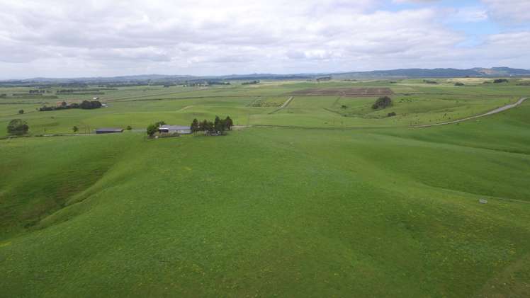 590e Koheroa Road Mangatawhiri_5