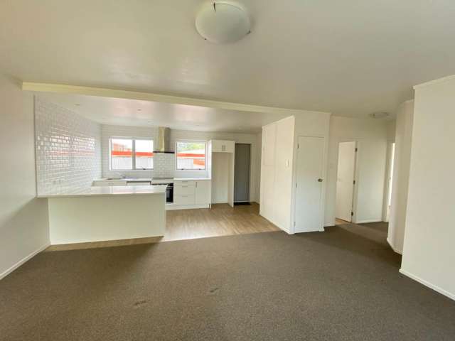 4/9 Ranier Street Ellerslie_2