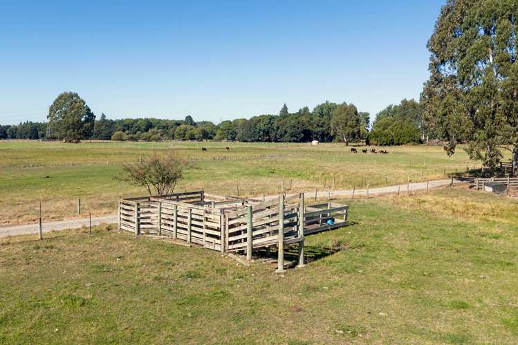 119 Orari Back Road Geraldine_14