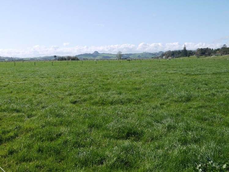 762 Pouto Road Te Kopuru_14