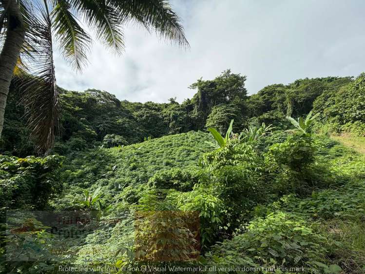 Address withheld Savusavu_11