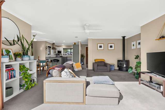 37b Smith Street Matamata_1