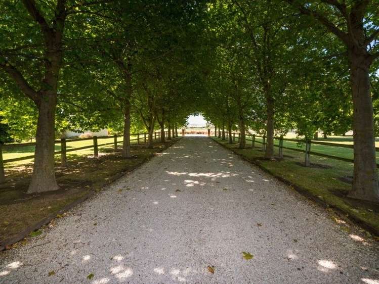 100 Rowley Crescent Grovetown_13