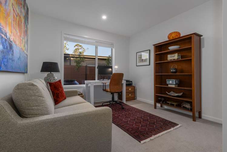 25 Phoenix Palms Grove Levin_19