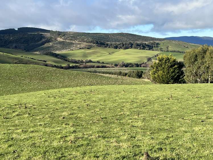 295 Stirling Road Winton Surrounds_6