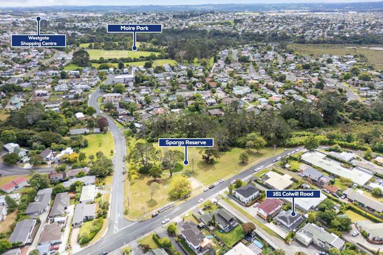 161f Colwill Road Massey_24