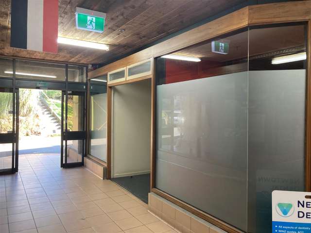 Ground Floor, 100 Riddiford Street Newtown_4