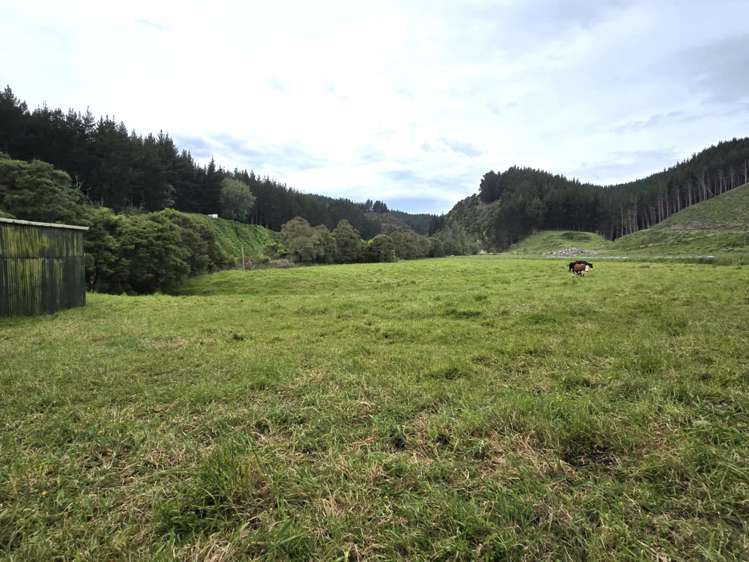 Lot 7 Turakina Valley Road Hunterville_5