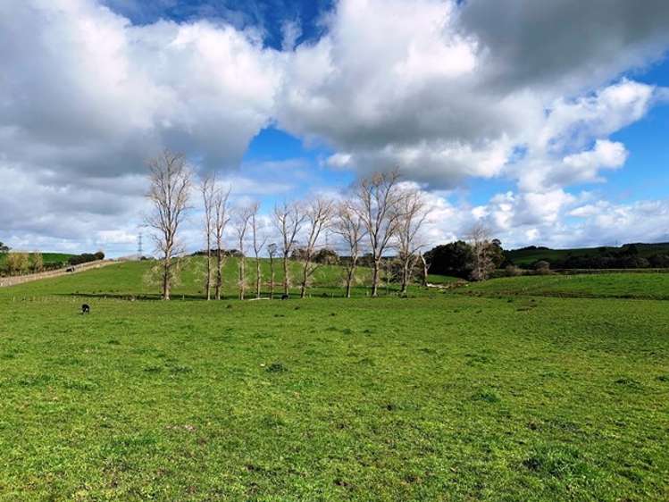 Maxwell Road Maramarua_6