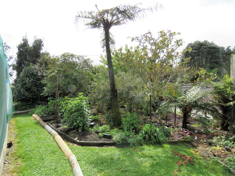 22 Lewis Street Kahurangi National Park_16